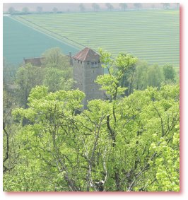 Schaumburg