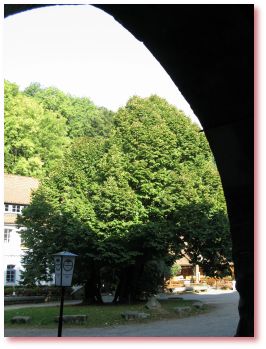 Gerichtslinde